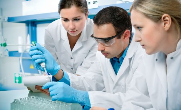 lab